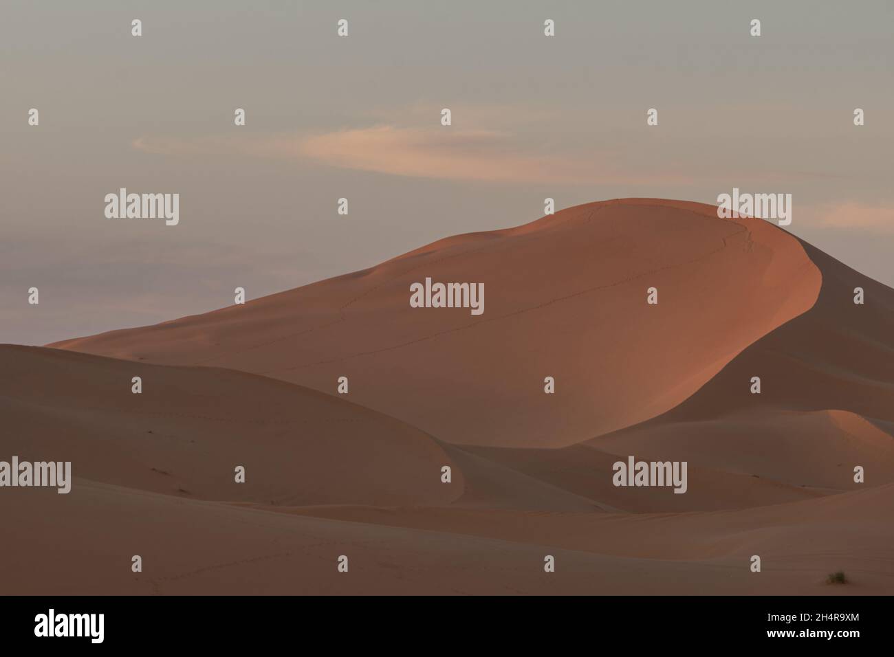 Mesmerizing view of the high dunes in the Sahara desert of Taghit Stock Photo
