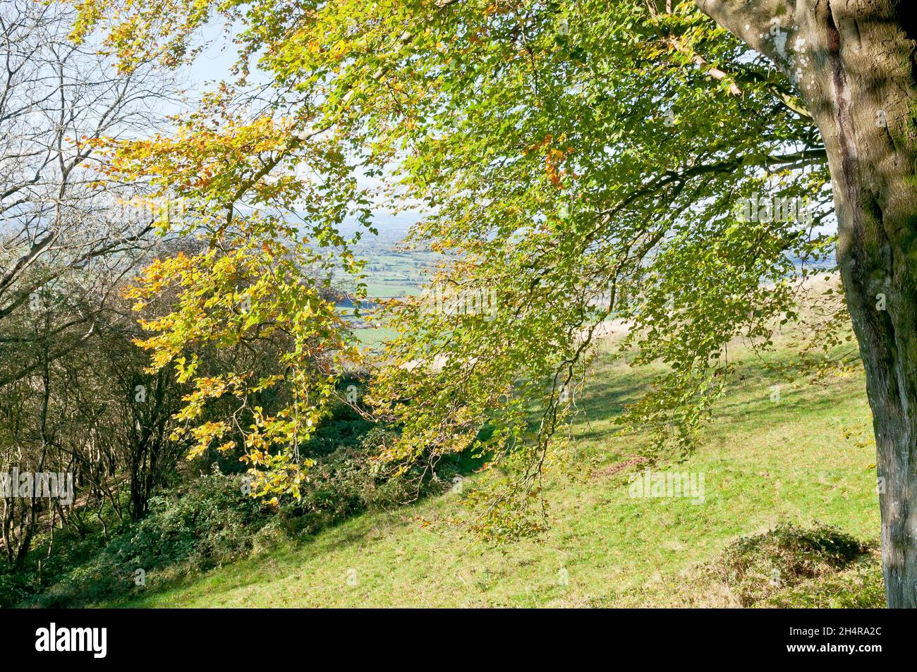Autumn landscape, Draycott Sleights, Near Cheddar, Somerset, England