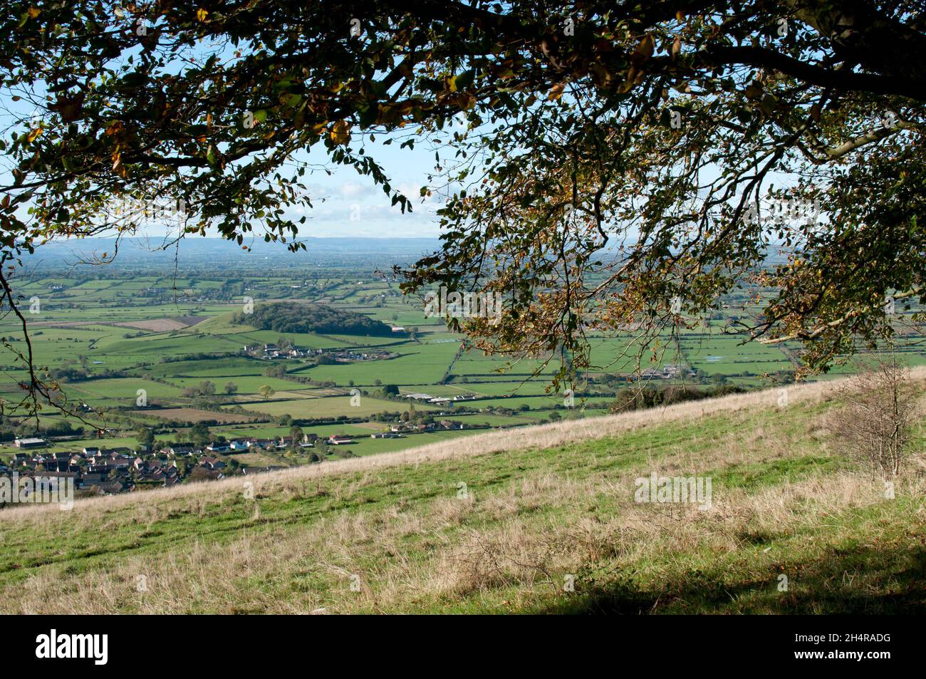 Autumn landscape, Draycott Sleights, Near Cheddar, Somerset, England