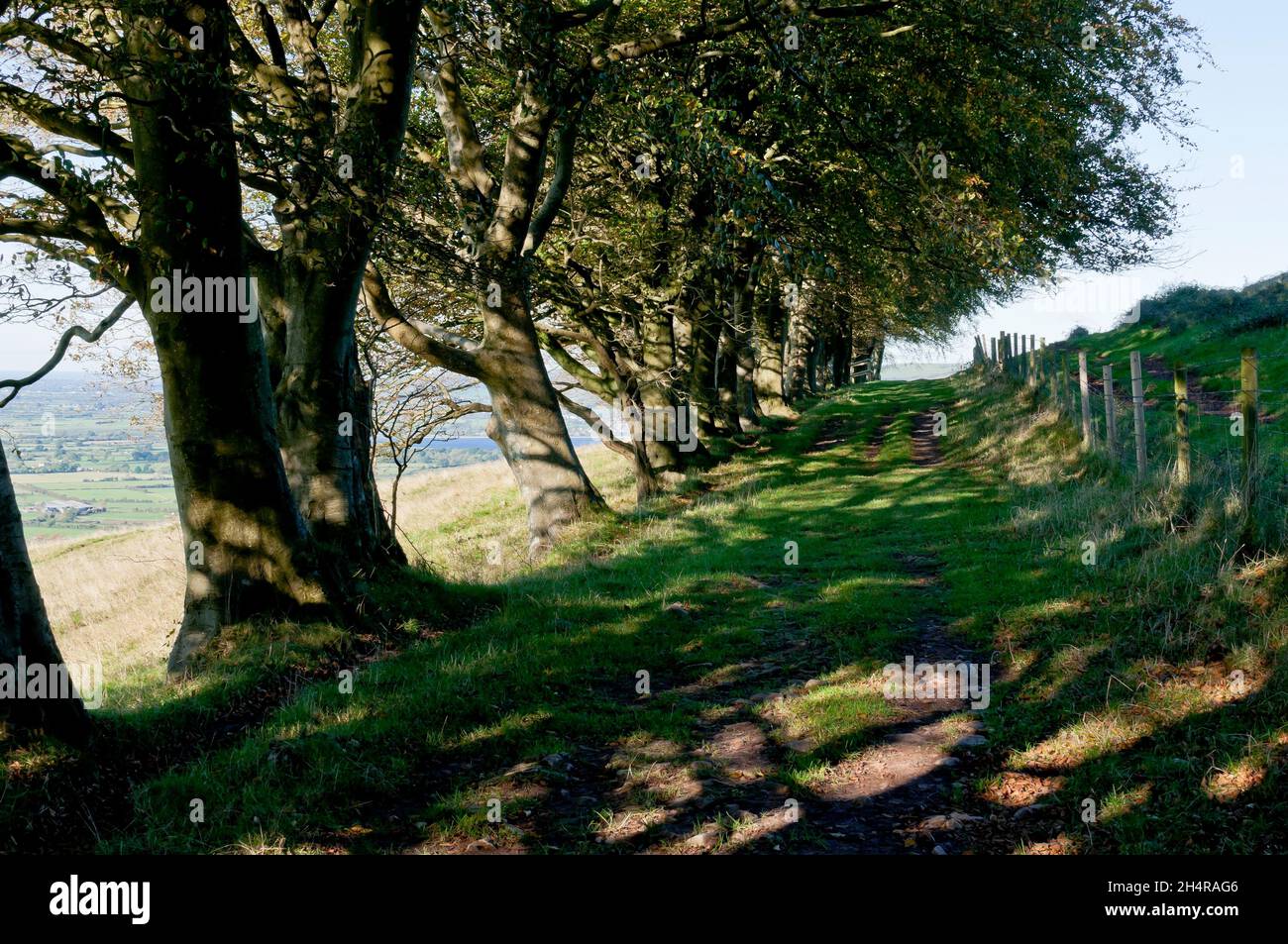 Autumn landscape, Draycott Sleights, Near Cheddar, Somerset, England