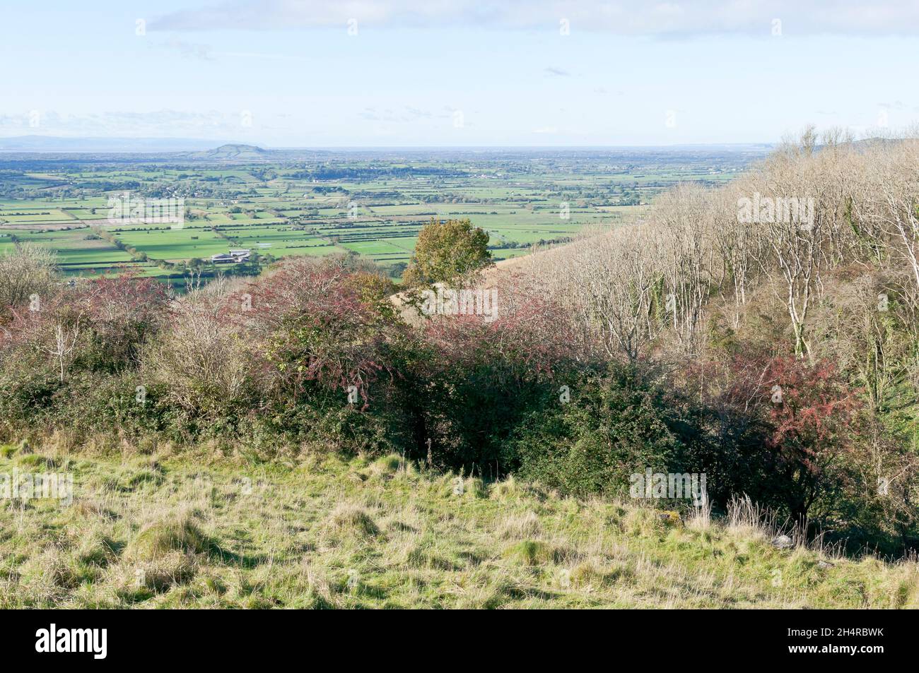 Autumn landscape, Draycott Sleights, Near Cheddar, Somerset, England