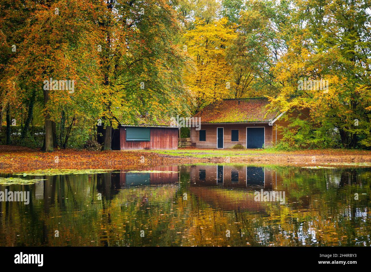 Wooden cabin in the forest and reflection on the lake Stock Photo