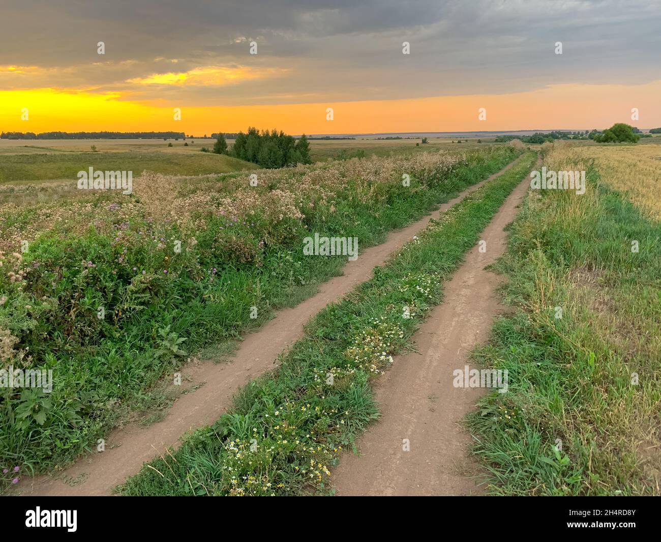 Country road in the meadow toward the sunset Stock Photo - Alamy