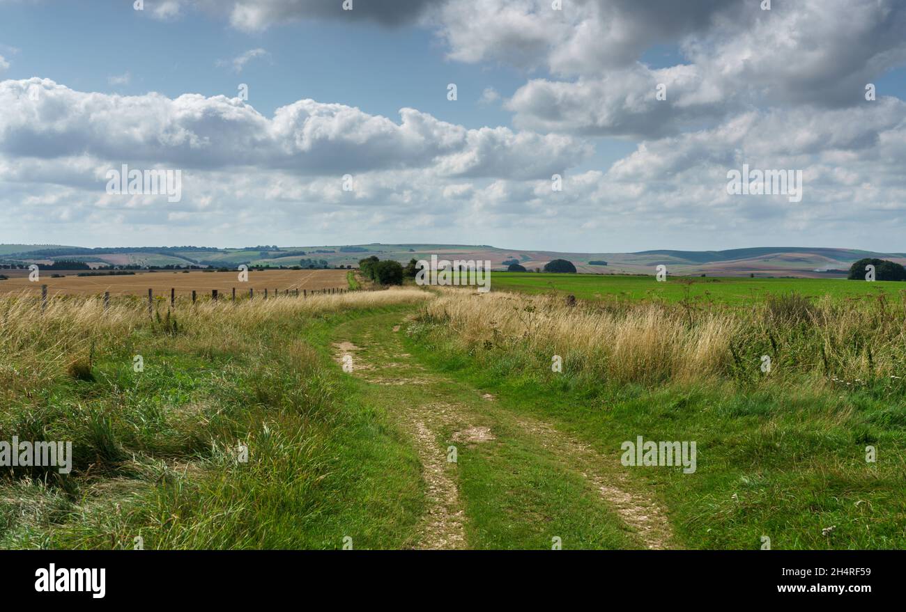 Views from the ancient Ridgeway Walk Wiltshire England UK Stock Photo