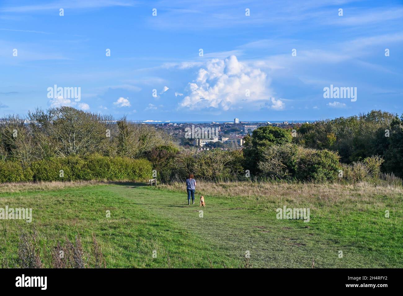 Highdown Hill and Highdown Chalk Gardens Worthing West Sussex  Credit Simon Dack Stock Photo