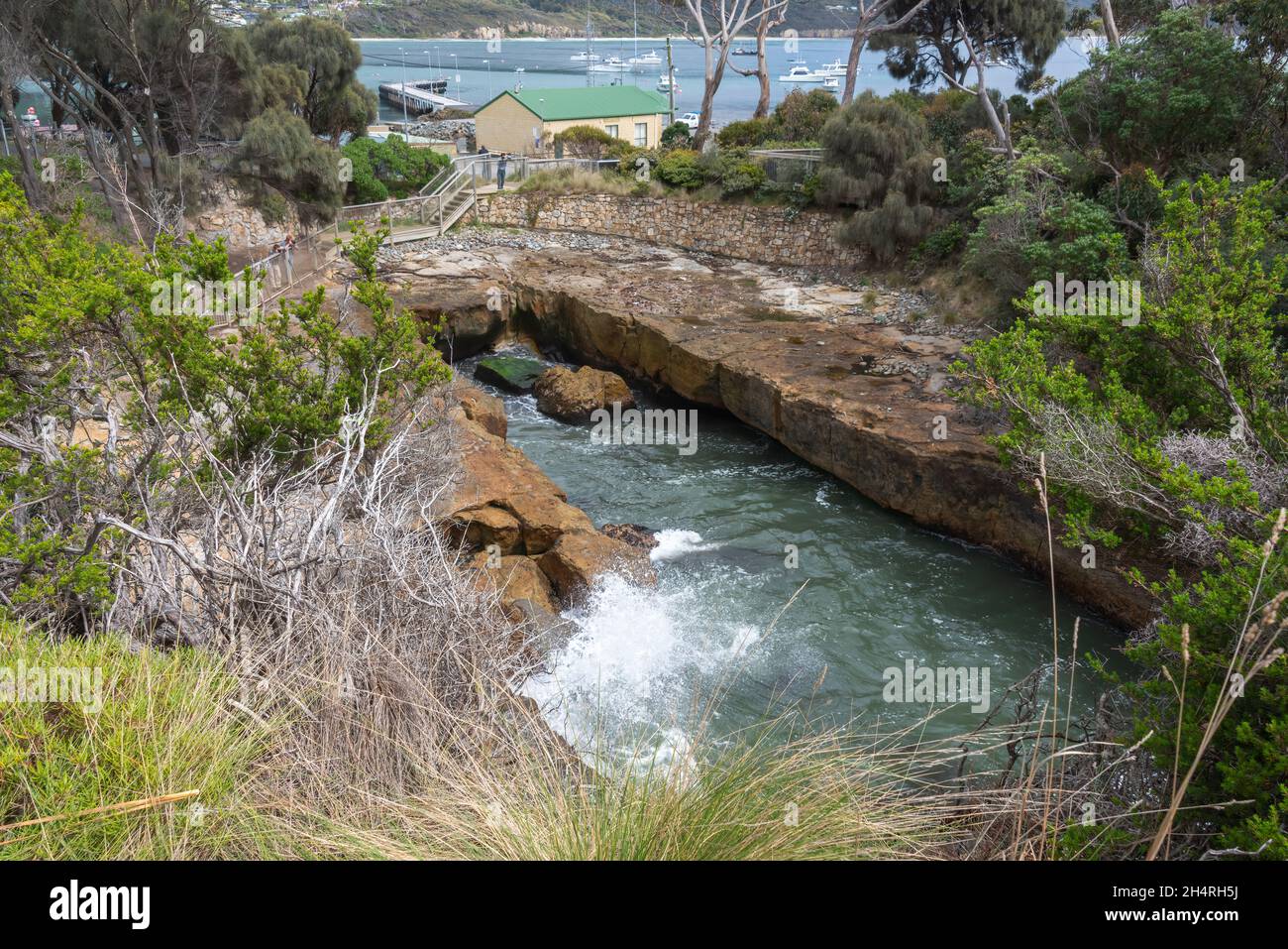 Blowhole and Fossil Bay Lookout, Tasmania, Australia Stock Photo