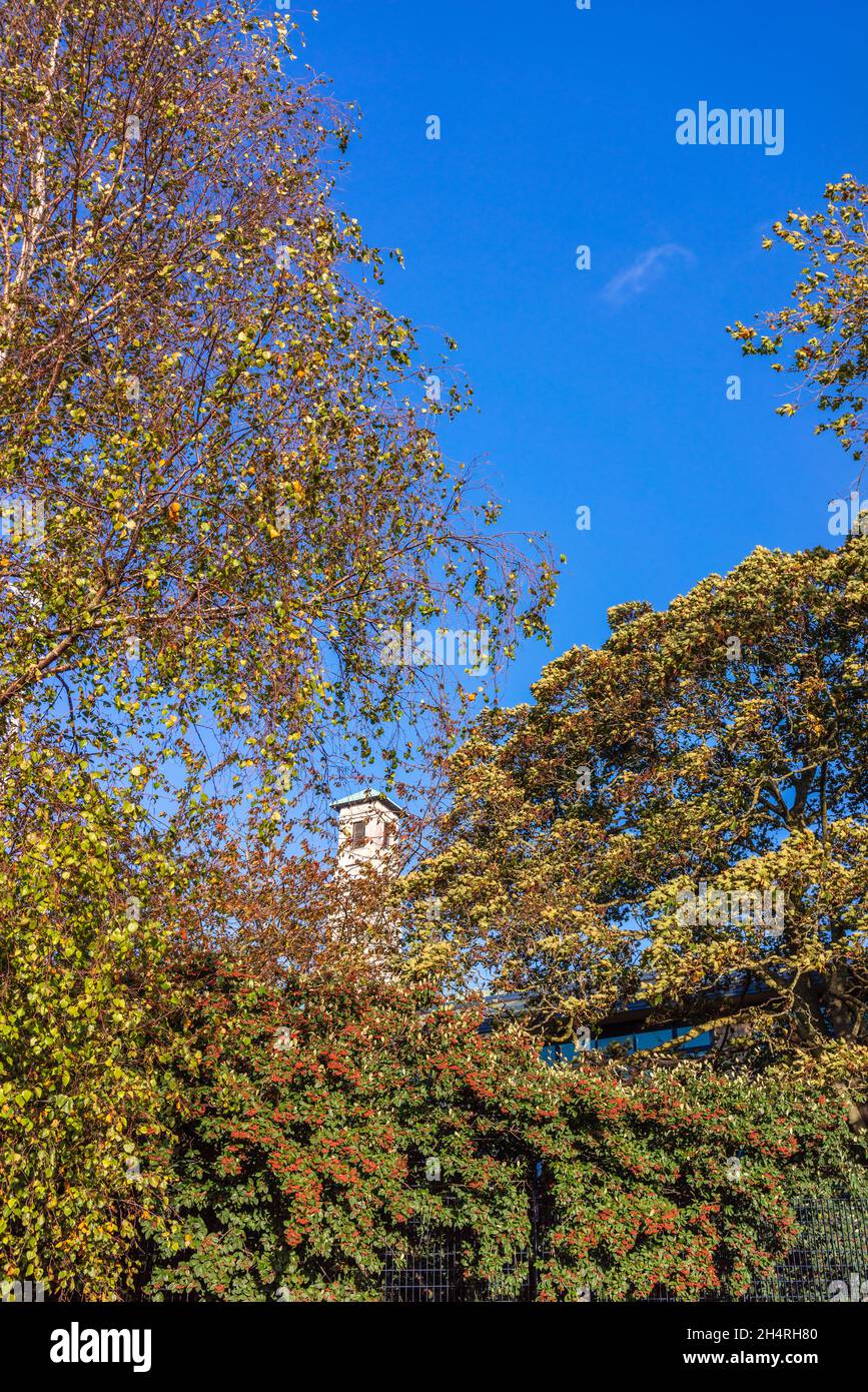 Civic Centre clock tower as seen from Kingsbridge Lane, Southampton