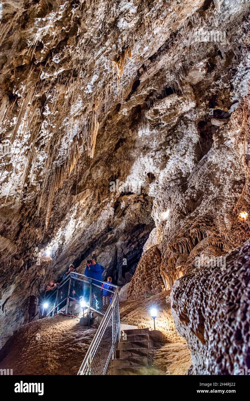 Mole Creek Caves, Tasmania, Australia Stock Photo