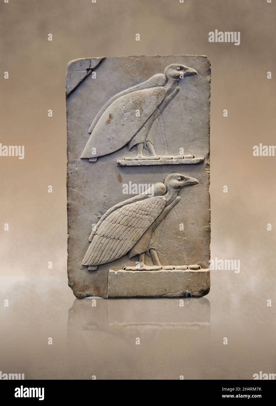 Ptolemaic Egyptian relief sculpture panel depicting 2 vultures, 399-200 BC, Ptolemaic, limestone. Louvre Museum, This panel was an unfinis=hed sculpto Stock Photo