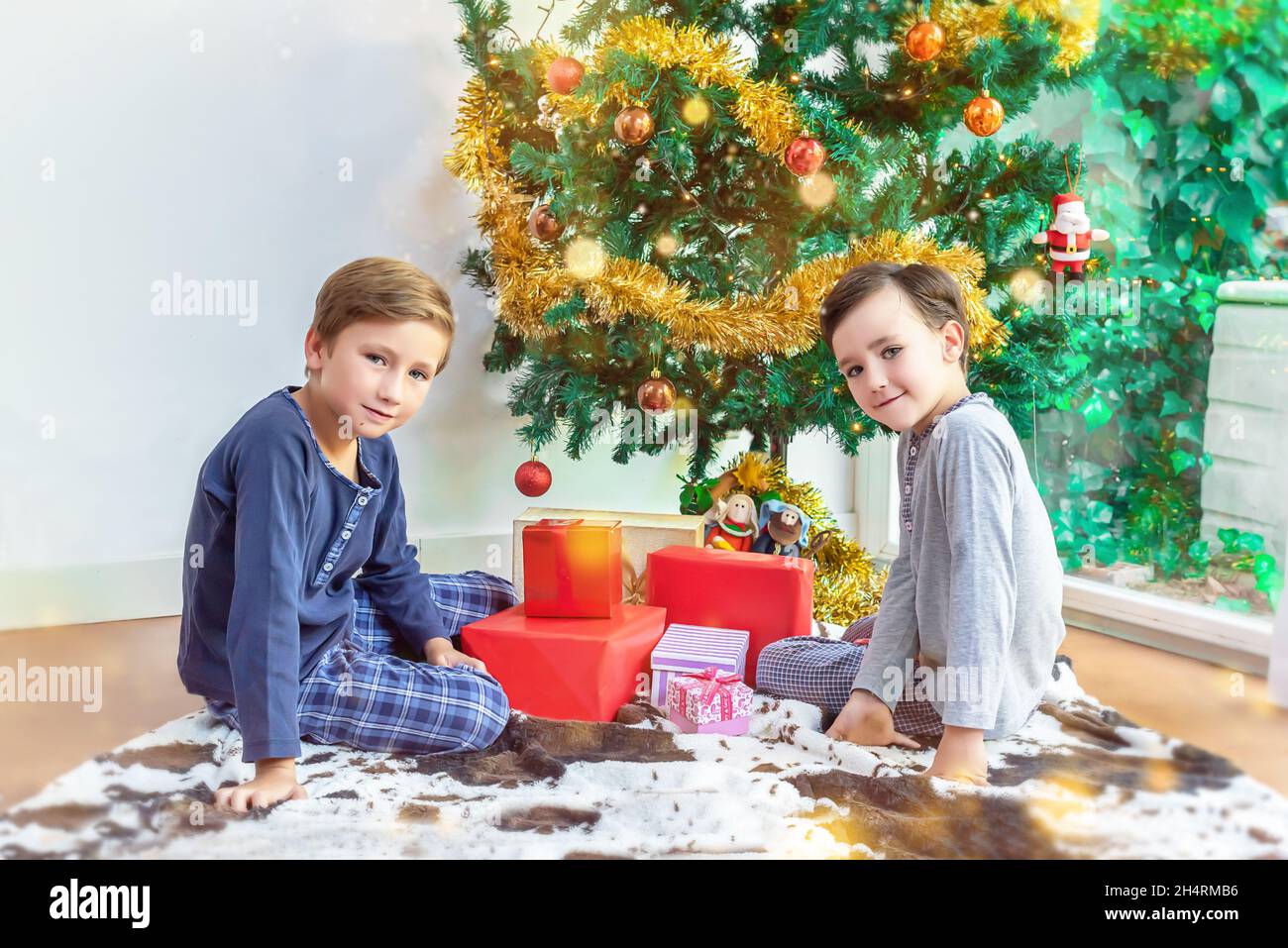 Children by the Christmas tree ready to open their presents Stock Photo