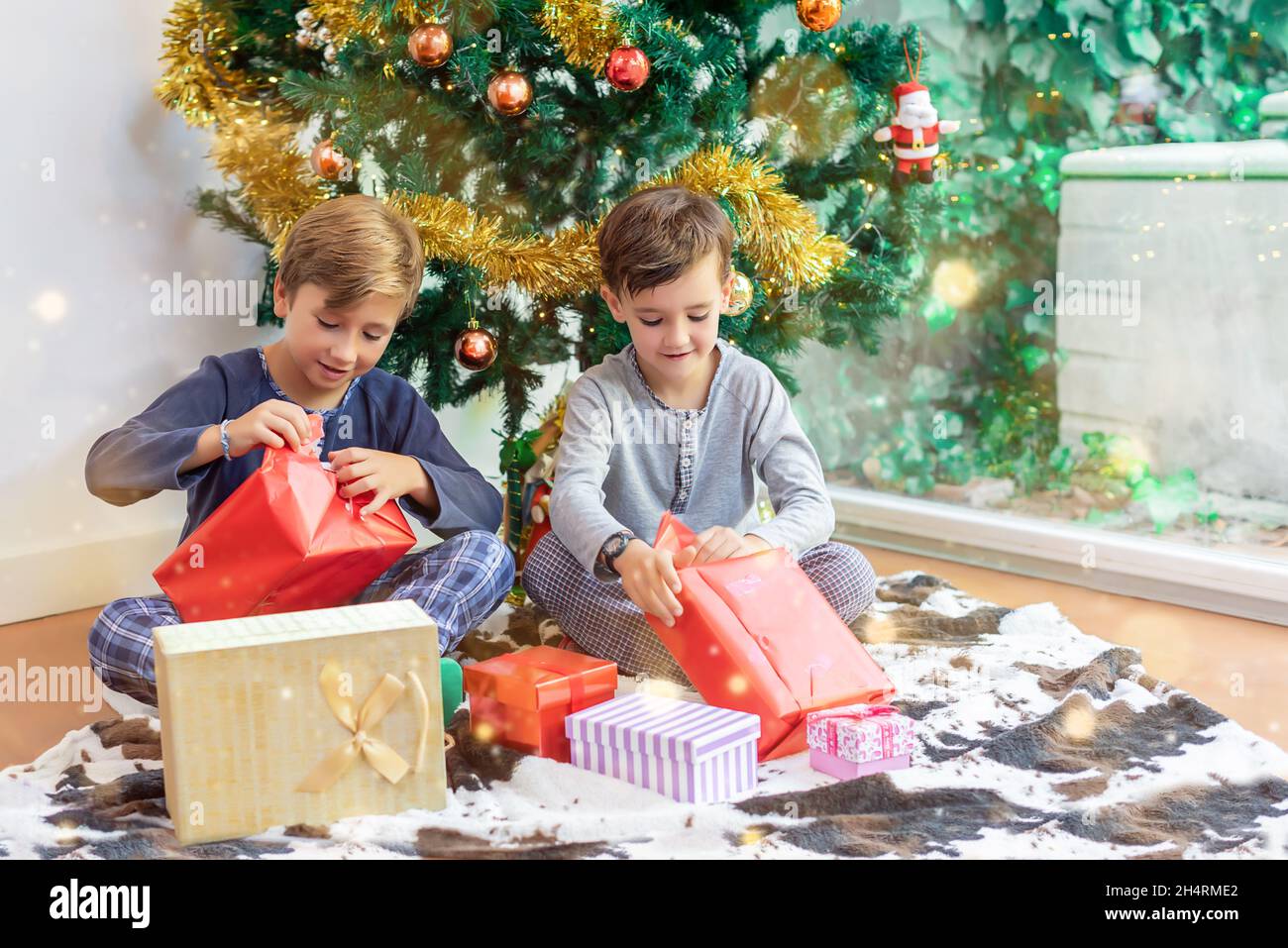 Two children by the Christmas tree opening their presents from Santa Claus or the Three Wise Men and sharing their toys Stock Photo
