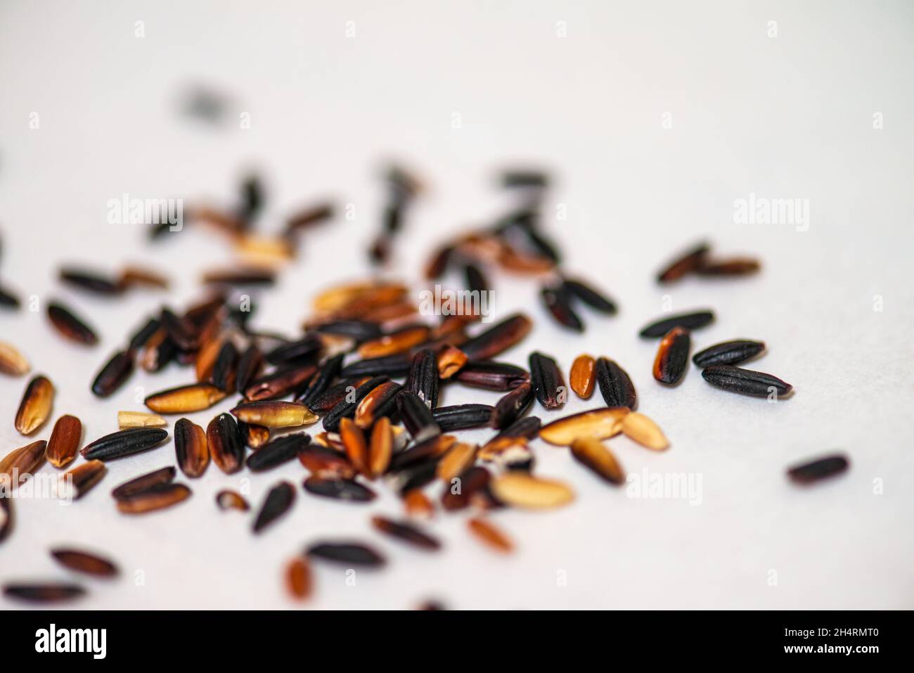 Organic wild rice grains on white background, macro shot Stock Photo