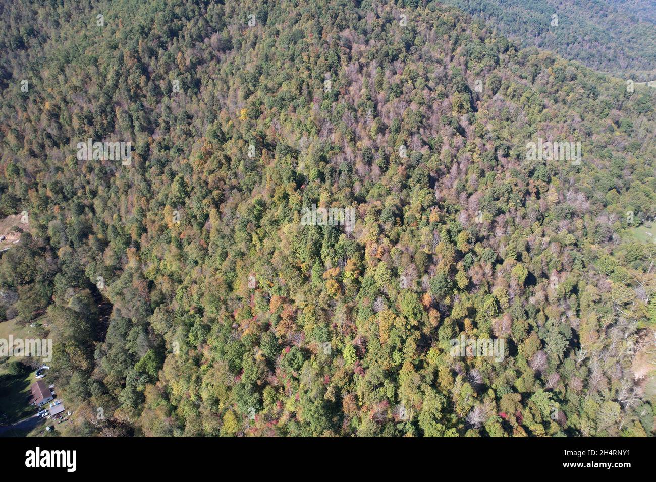 Aerial photograph autumn Appalachian mountains west virginia Stock