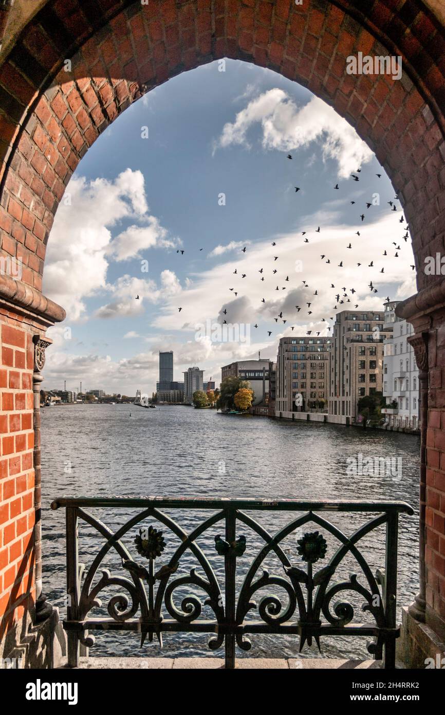 Blick von Oberbaumbrücke auf Spree, Vogelschwarm, Herbst, Berlin Stock Photo