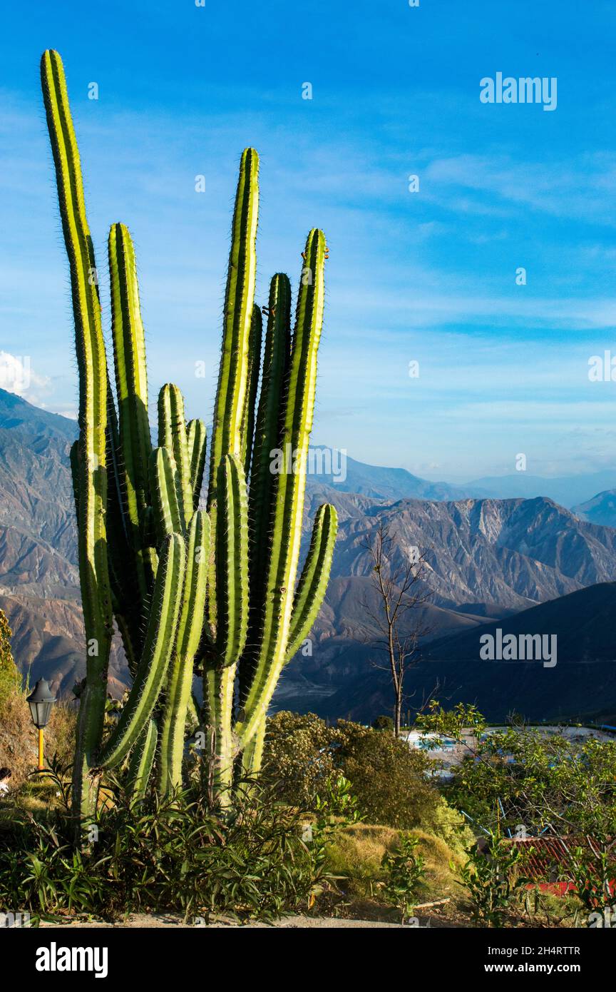 Los colores de la naturaleza Stock Photo