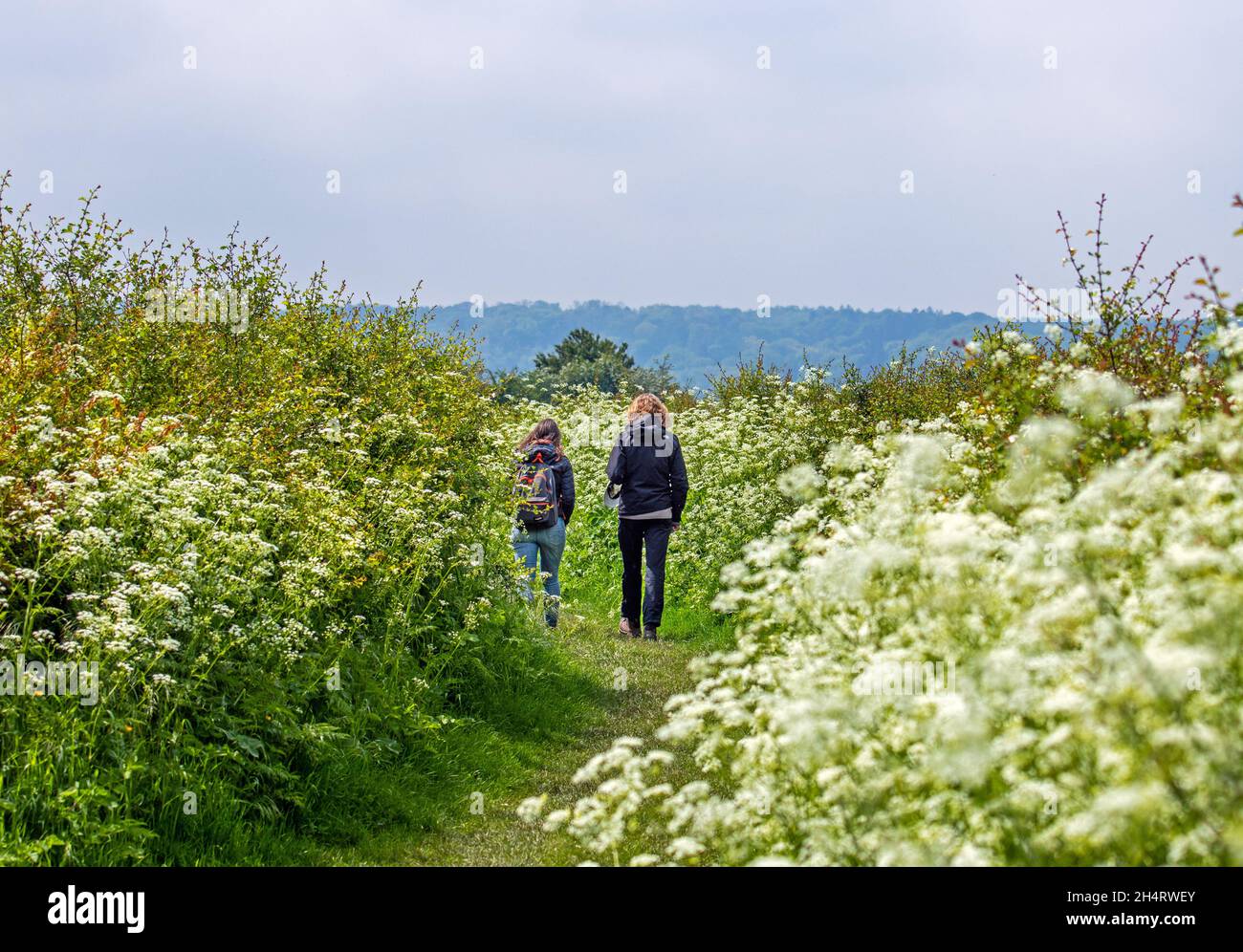 Two women hiking in a rural landscape in spring Stock Photo - Alamy