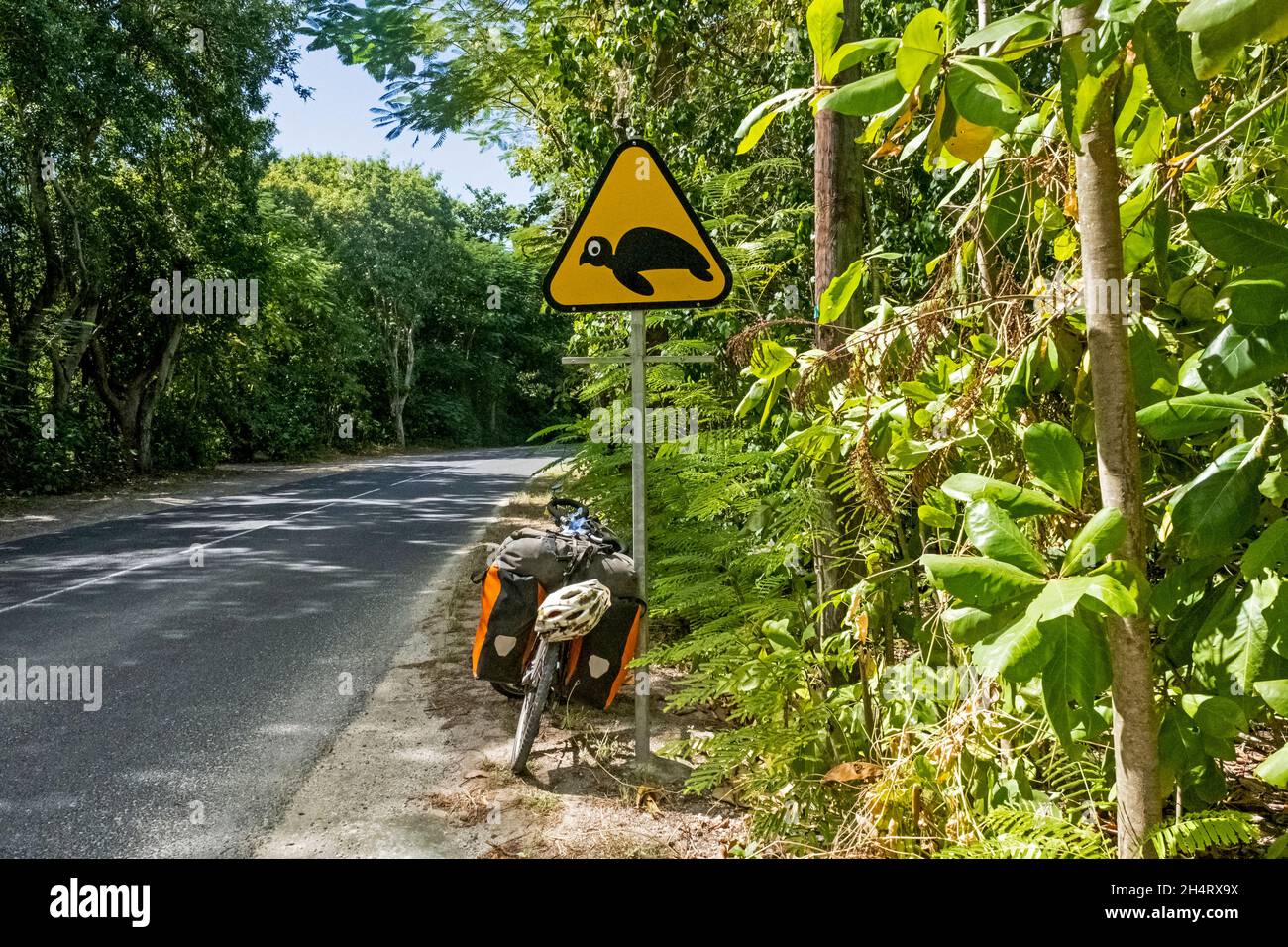 Touring bicycle and warning sign for turtles crossing the road on Basse-Terre Island, archipelago of Guadeloupe, Lesser Antilles in the Caribbean Sea Stock Photo