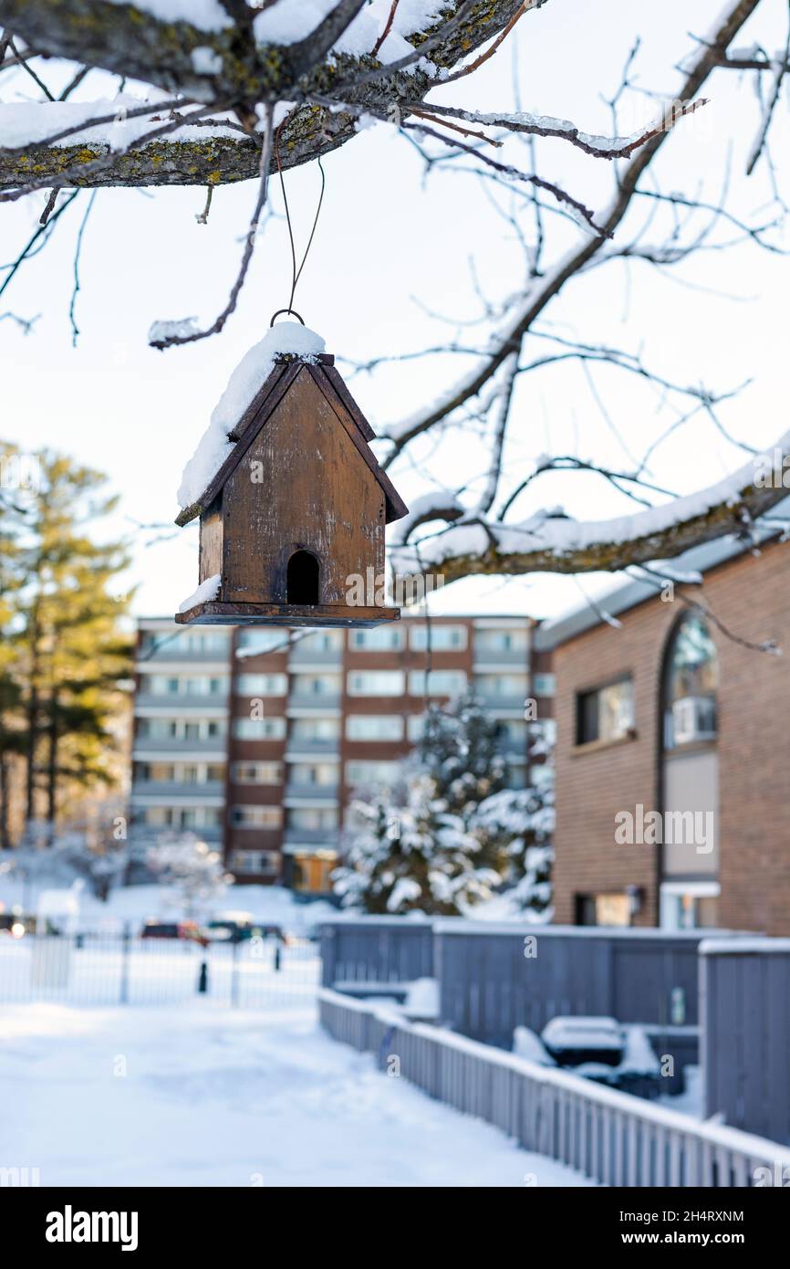 Birdhouse hanging on tree branch near houses at backyard in winter. Stock Photo