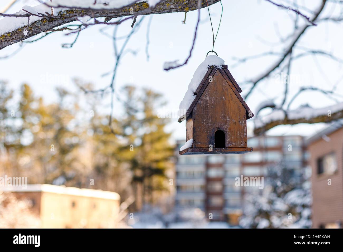 Birdhouse hanging on tree branch near houses at backyard in winter. Stock Photo