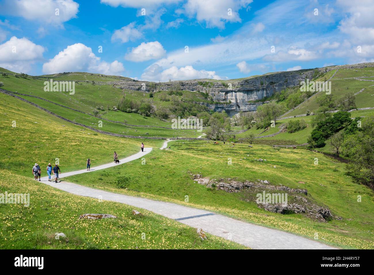 Yorkshire, view in summer of people walking the path leading from Malham to Malham Cove, a 260ft limestone cliff visible in the distance, Yorkshire UK Stock Photo