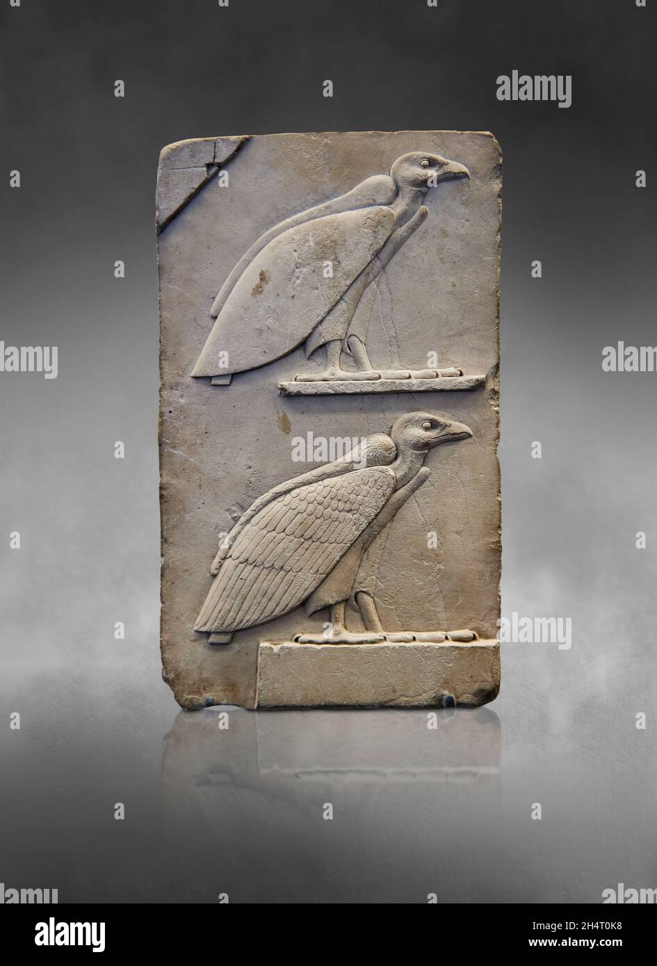 Ptolemaic Egyptian relief sculpture panel depicting 2 vultures, 399-200 BC, Ptolemaic, limestone. Louvre Museum, Stock Photo