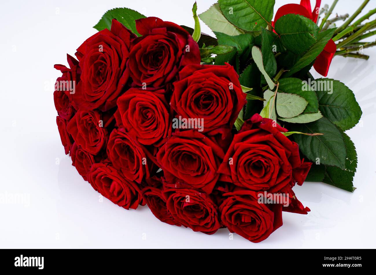 Bouquet of beautiful roses tied with red ribbon. Studio Photo Stock ...