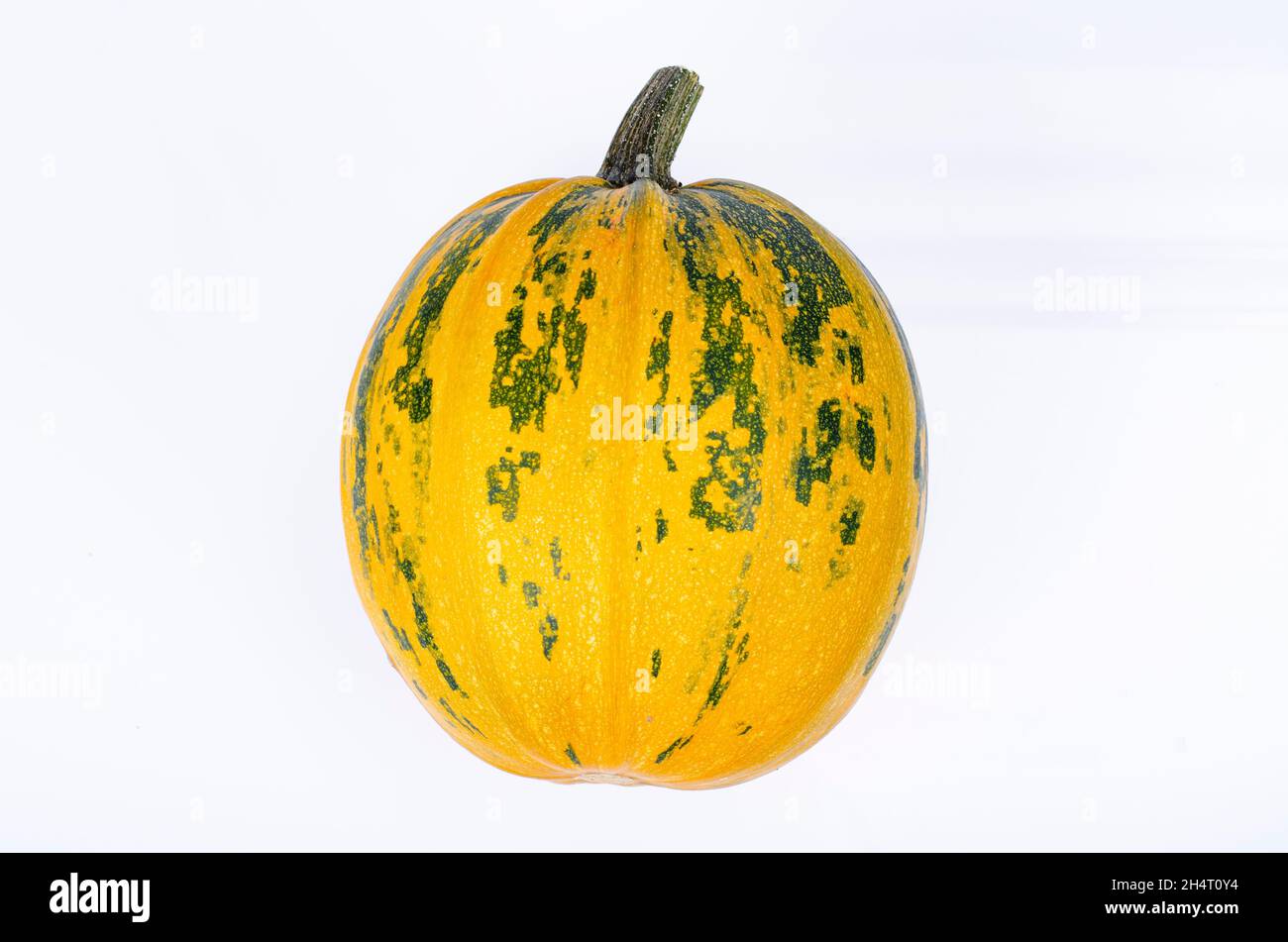 Small pumpkins of different shapes and varieties isolated on white