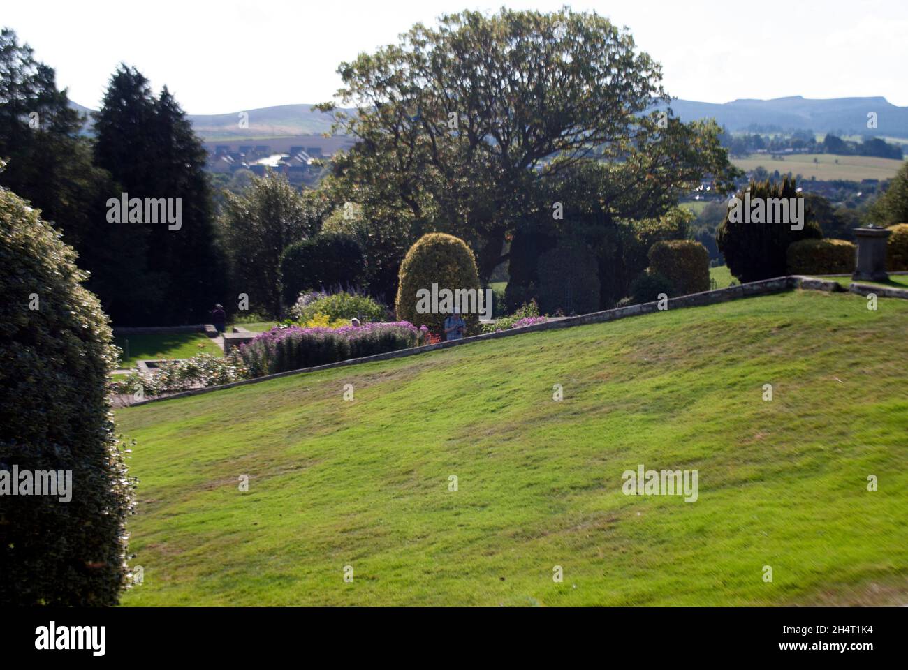 Sloping lawn and topary hedges in Formal Garden Cragside, Rothbury ...