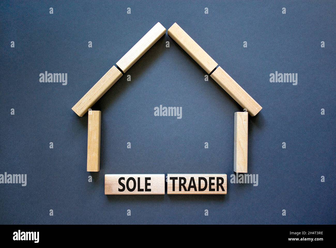 Sole trader symbol. Concept words 'Sole trader' on wooden blocks near miniature wooden house. Beautiful grey background. Business, sole trader concept Stock Photo