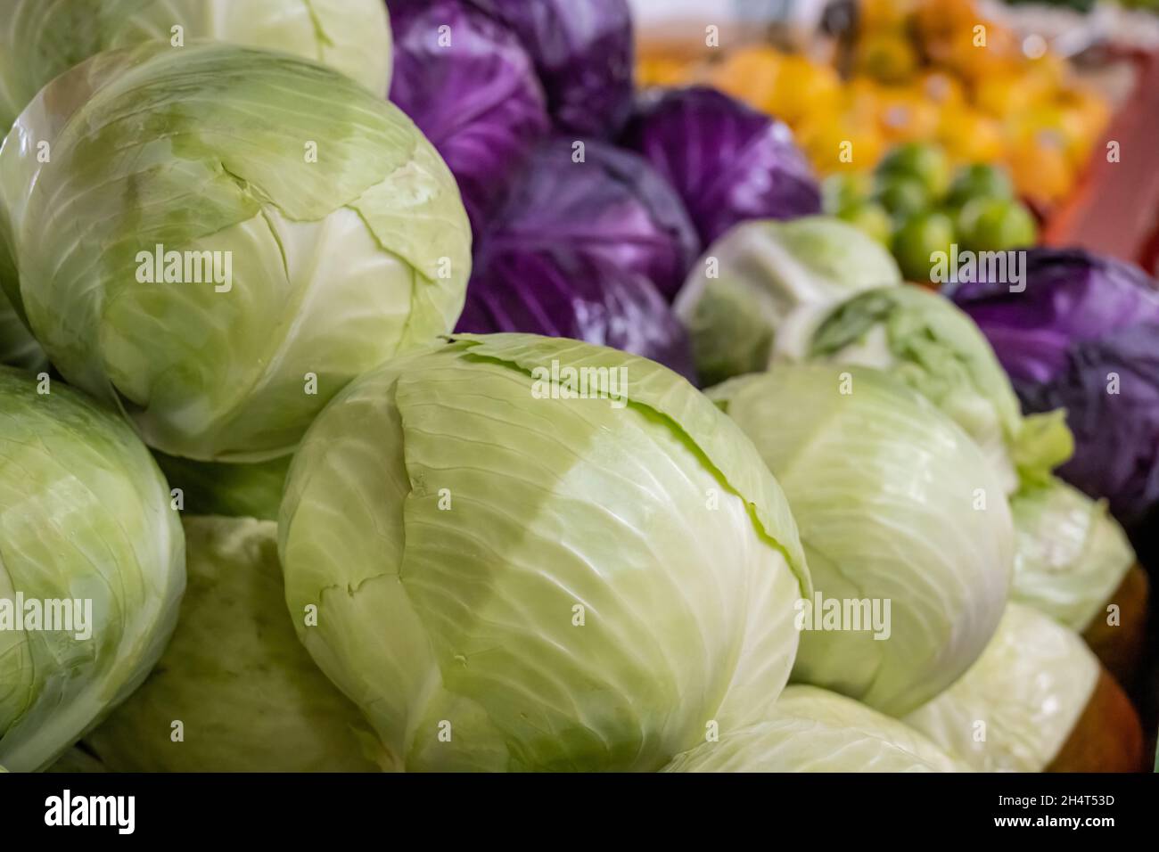 Fresh and colorful produce at Jaemor Farm Market in Northeast Georgia. (USA) Stock Photo