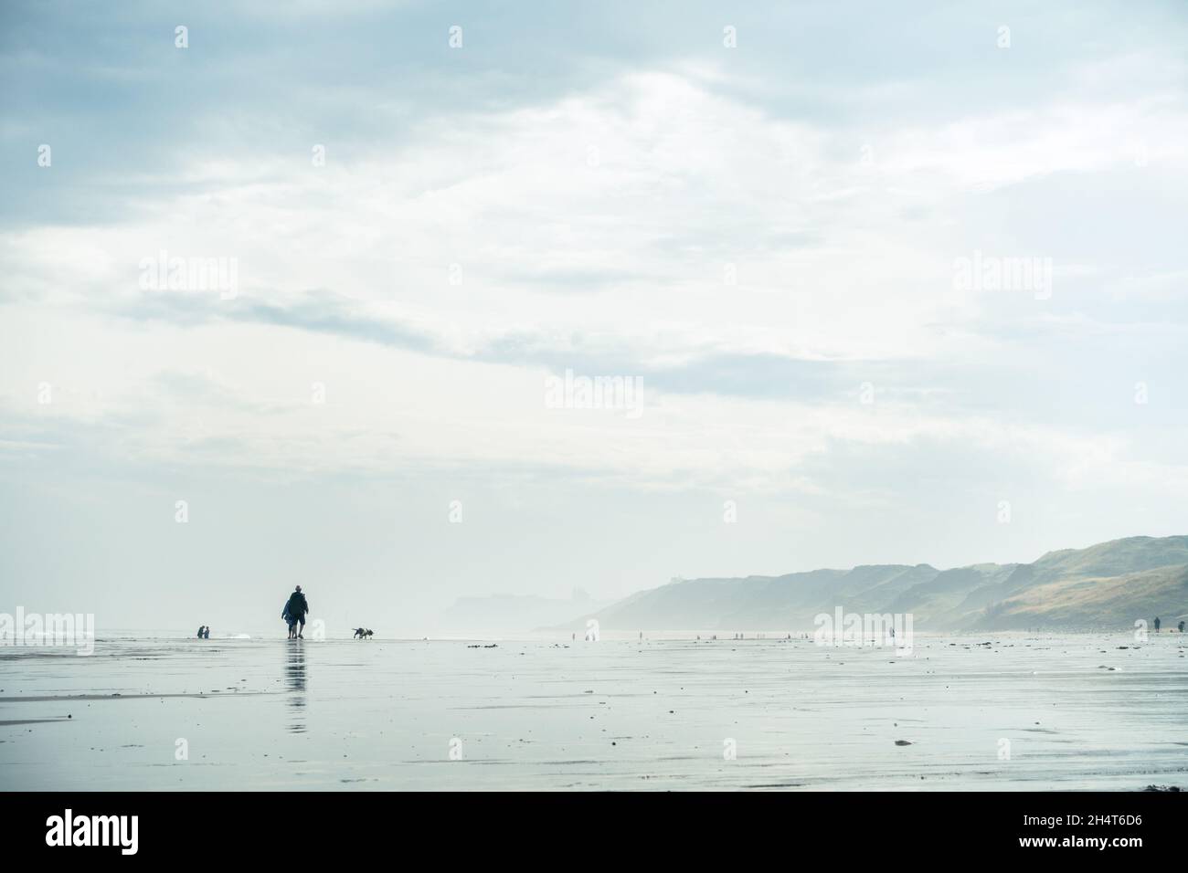 Dog friendly beach, Sandsend, is the perfect place for walking dogs, here as the sea mist lifts. North Yorkshire, UK Stock Photo