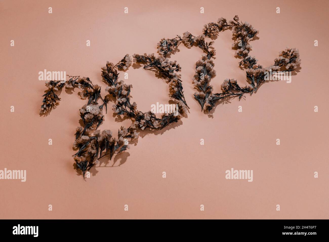 New Year. 2022 is laid out of statice dried flowers.  Stock Photo