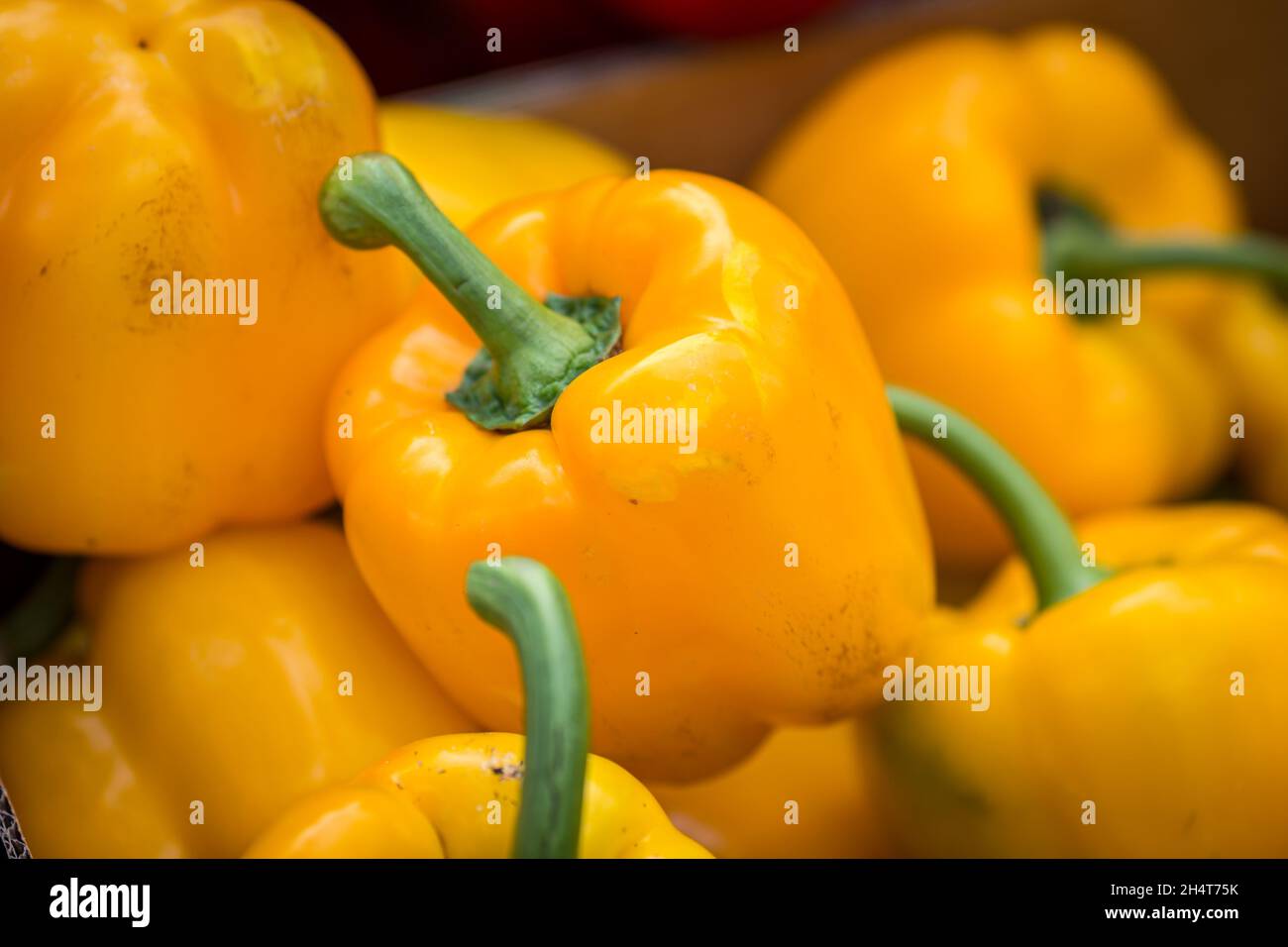 Yellow bell peppers for sale on a market stall Stock Photo - Alamy