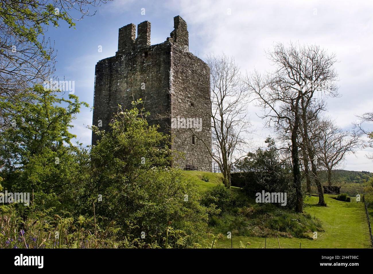 Cardoness Castle, Gatehouse of Fleet, Dumfries & Galloway, Scotland Stock Photo