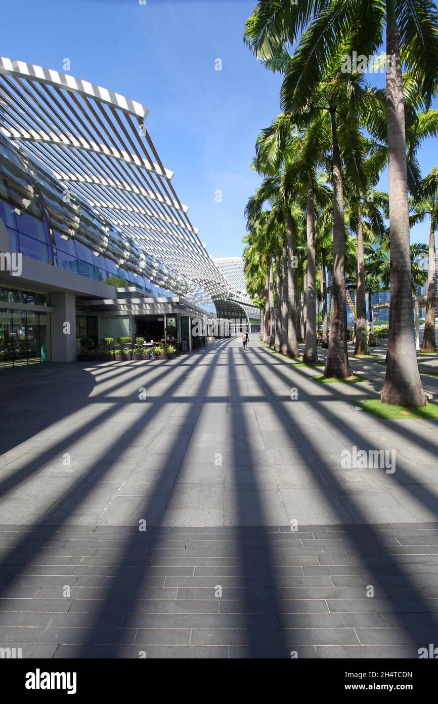 A coconut treelined road outside The Shoppes shopping mall at Marina