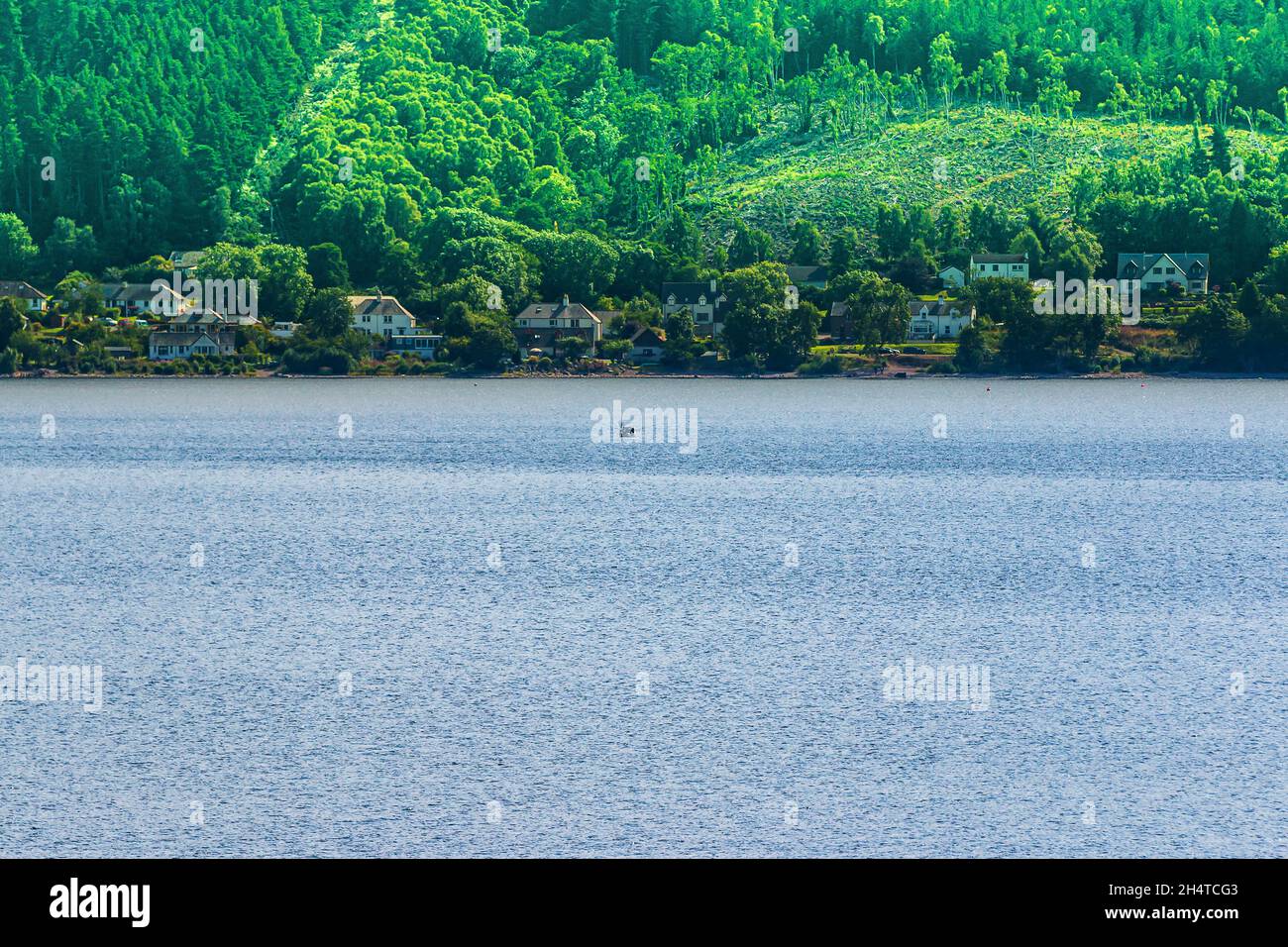 View over a lake in Scotland. Loch Ness by day by boat. Houses on the shore with forest and mountains in the background in summer. Green trees on the Stock Photo