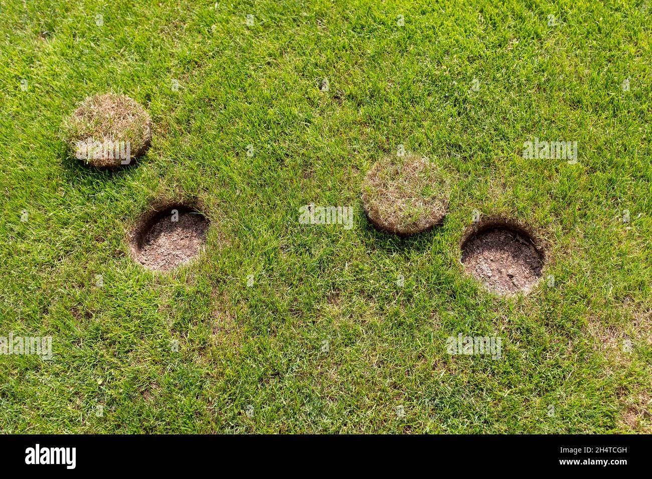 local repair of turf at the football field Stock Photo - Alamy