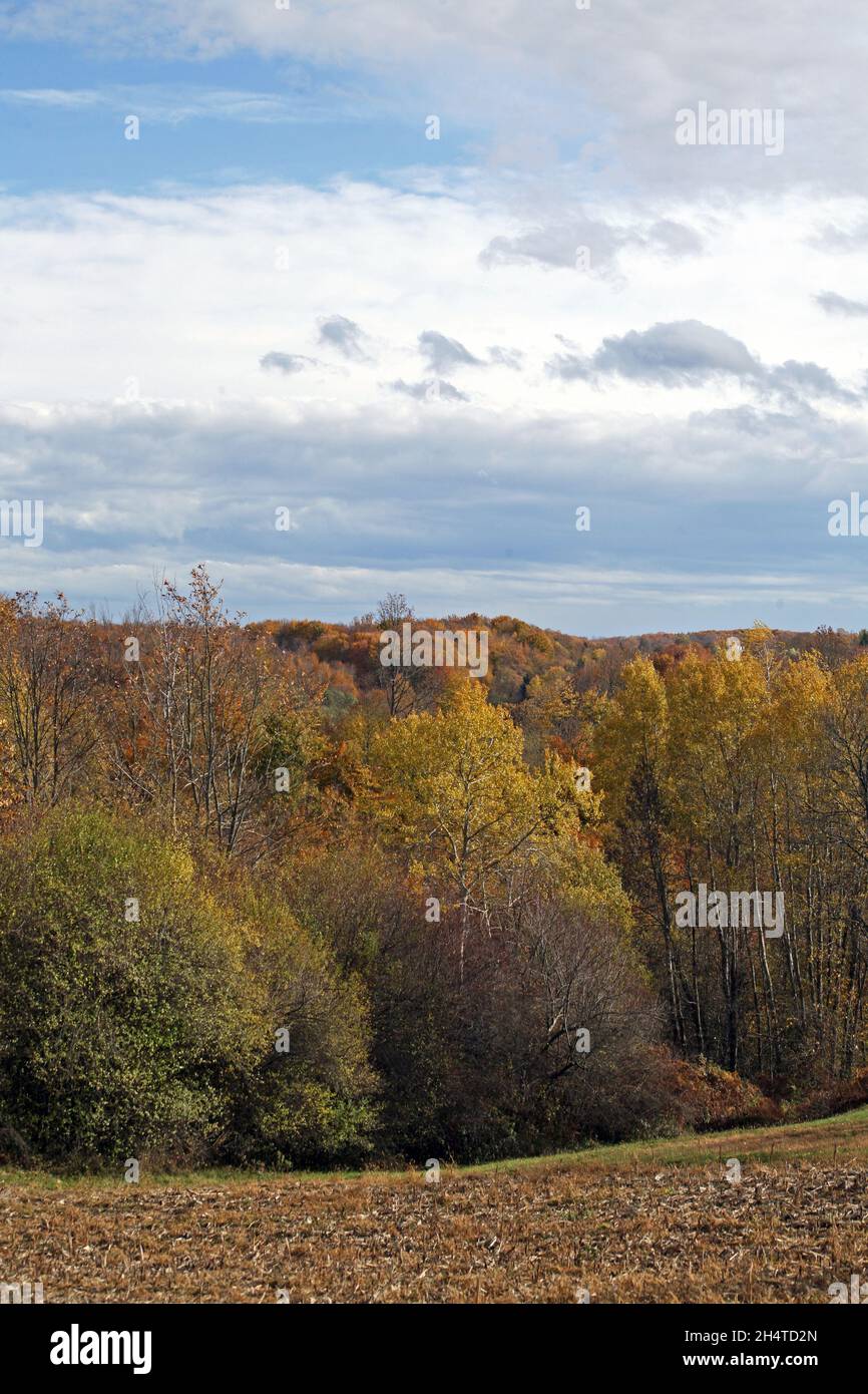 Early autumn nature in the countryside near Zagreb, Croatia Stock Photo