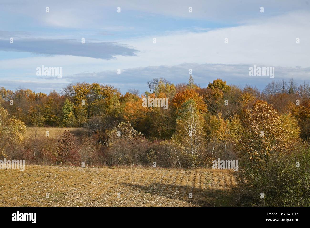 Early autumn nature in the countryside near Zagreb, Croatia Stock Photo