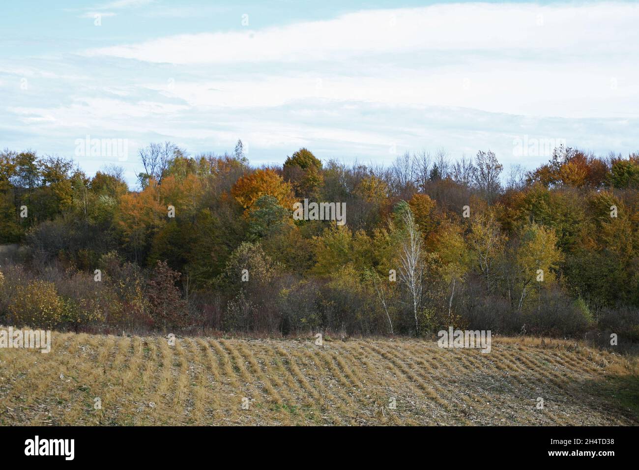 Early autumn nature in the countryside near Zagreb, Croatia Stock Photo