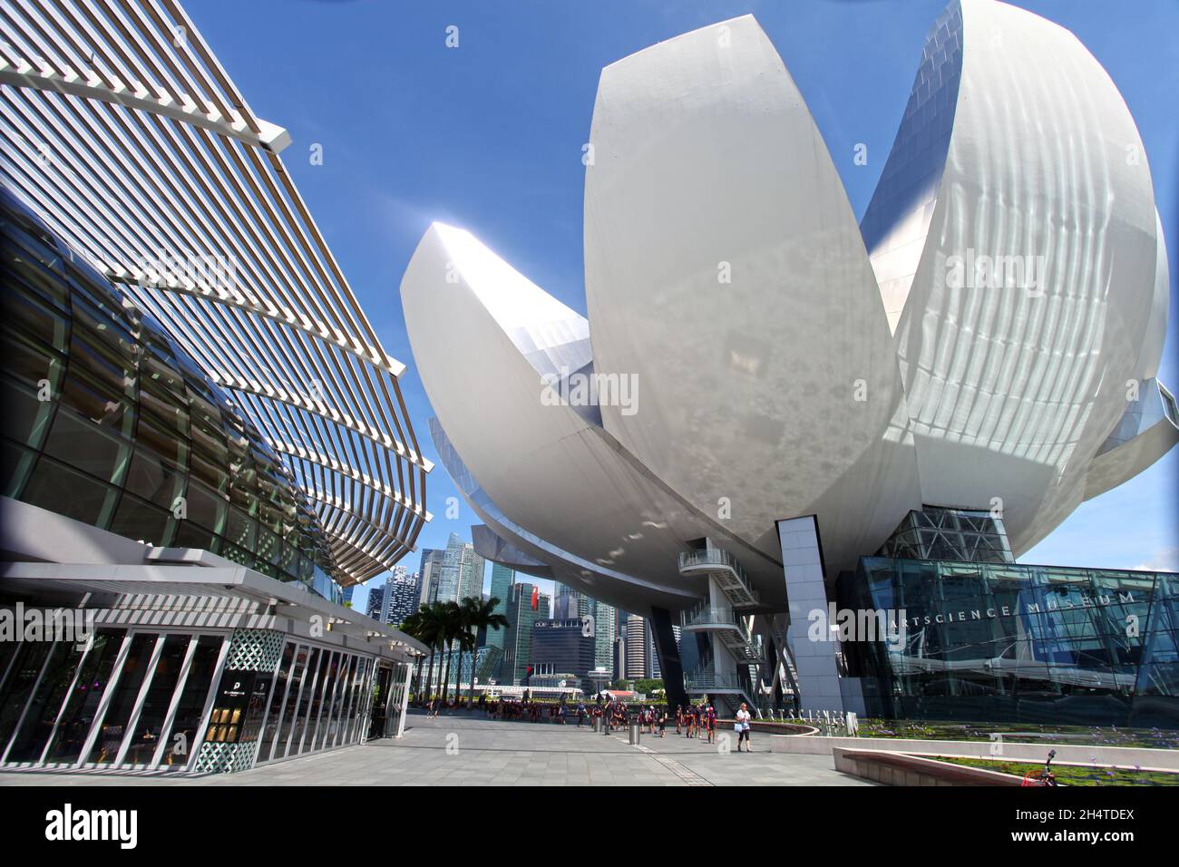 The ArtScience Museum at Marina Bay Sands with the shopping mall on the left in Singapore. Stock Photo