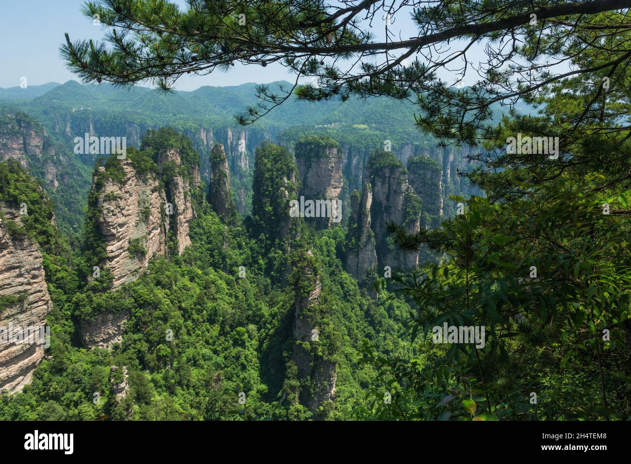 Zhangjiajie village hi-res stock photography and images - Alamy