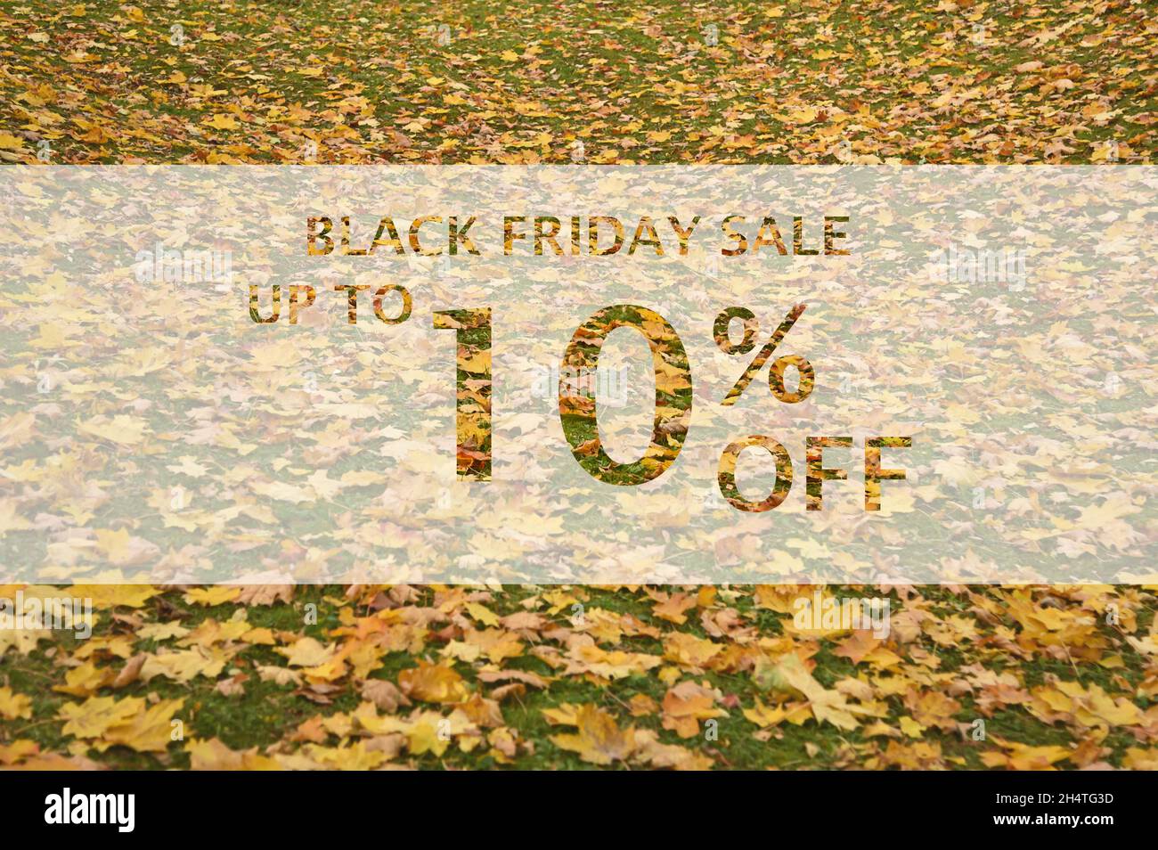 Black friday sale up to 10% off text over colorful fall leaves background. Word Black friday with colorful leaves. Creative nature concept. 10% off Stock Photo