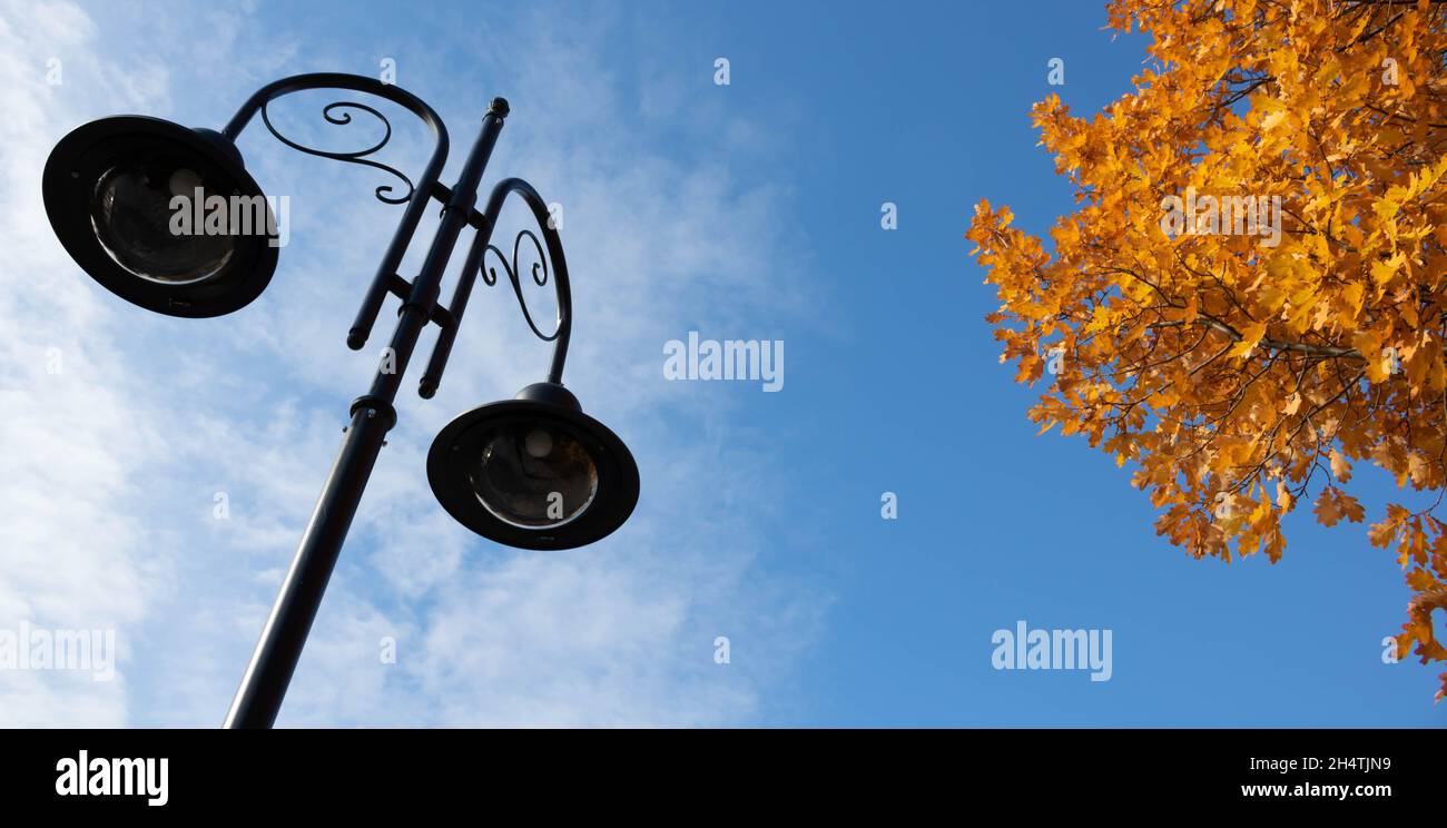 Lamppost and autumn leaves on a blue sky background Stock Photo
