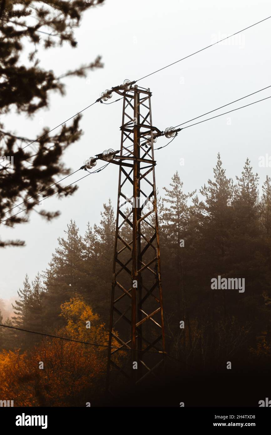 Rusty cable electrical pole in the middle of the foggy forest. Stock Photo