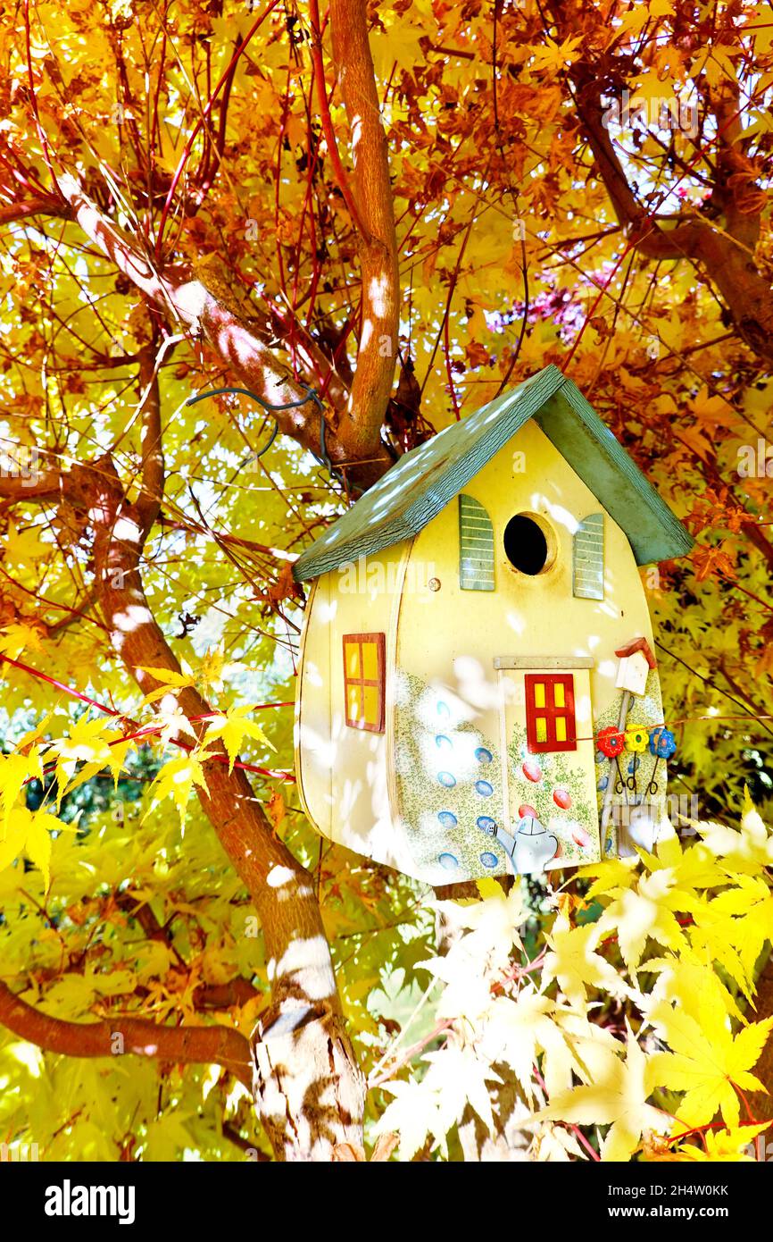 Reinigung eine dekorativen Nistkastens im Herbst, Vögel akzeptieren auch preiswerte Vogelhäuser vom Discounter Stock Photo