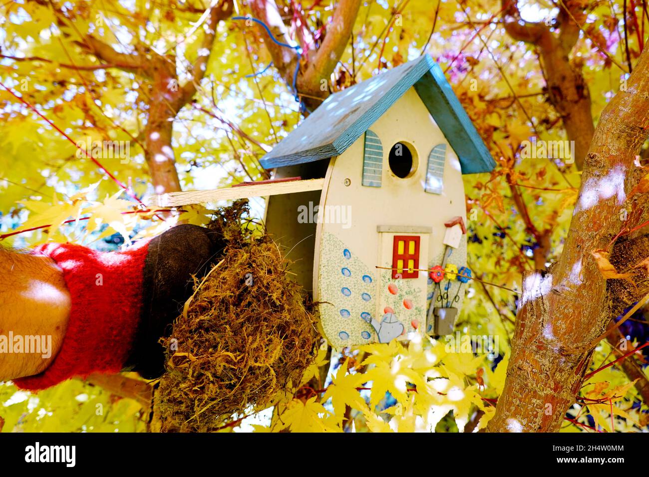 Reinigung eine dekorativen Nistkastens im Herbst, Vögel akzeptieren auch preiswerte Vogelhäuser vom Discounter Stock Photo