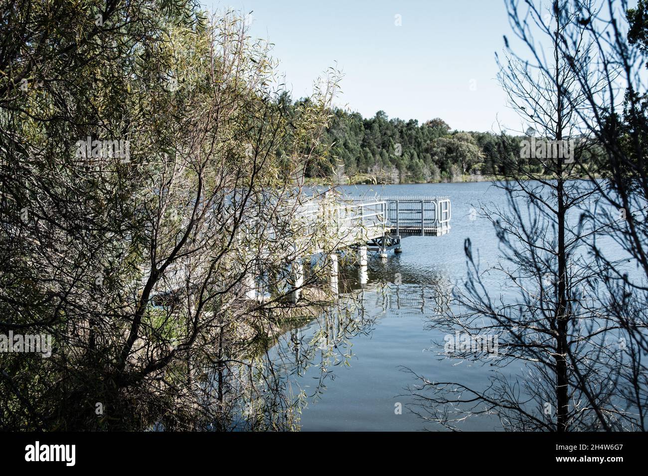 Viewing and fishing jetty at Quipolly Dam NSW Australia Stock Photo Alamy