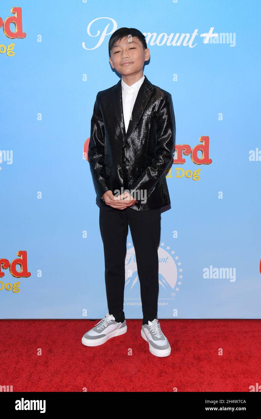 New York, USA. 04th Nov, 2021. Izaac Wang attends a special screening