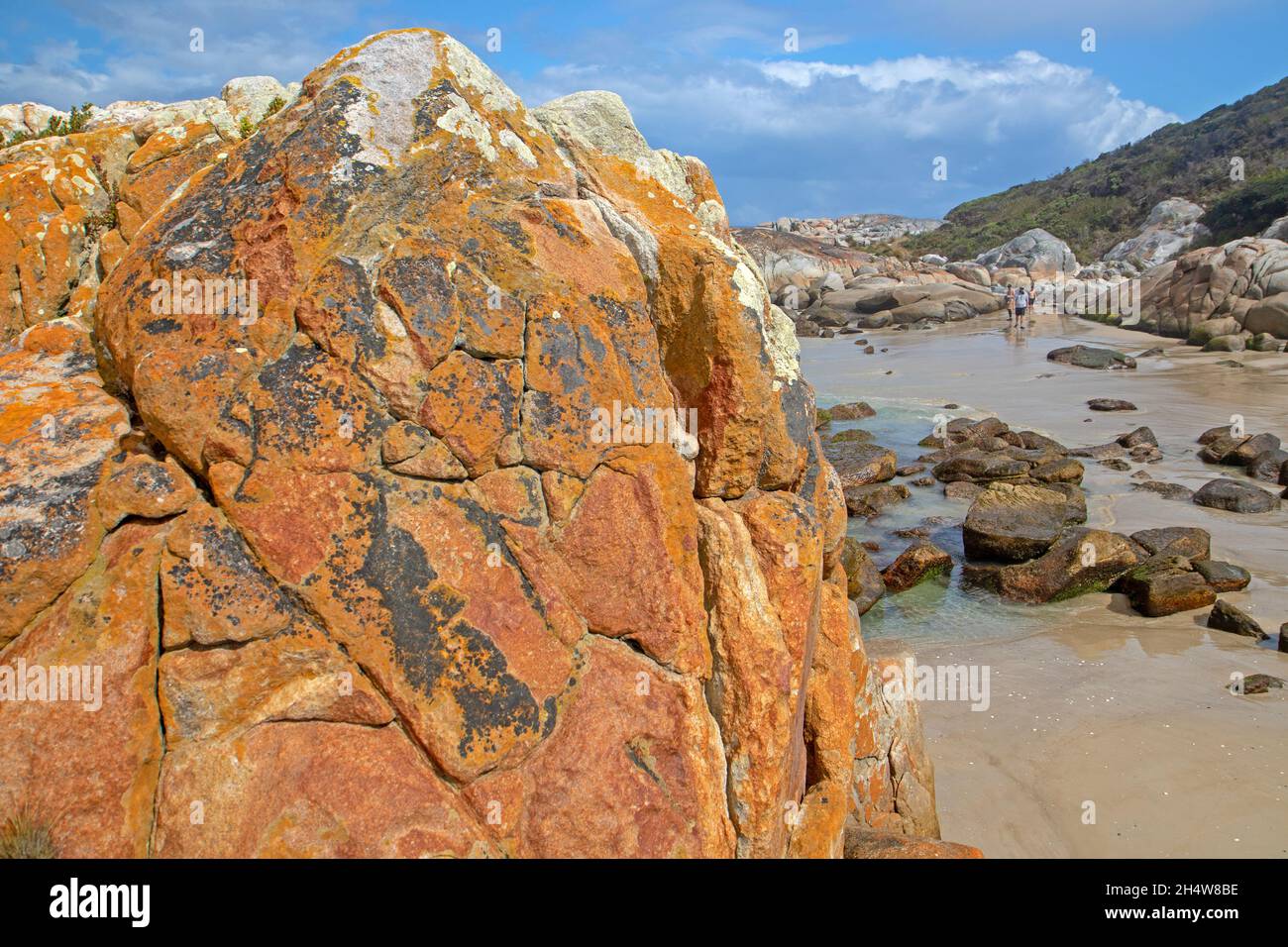 Beerbarrel Beach, St Helens Point Stock Photo Alamy